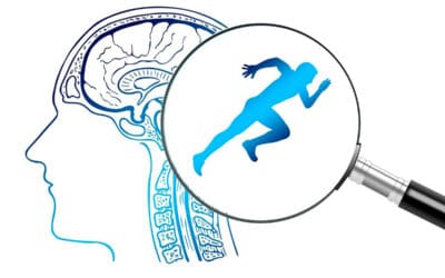 Le cerveau et le sport